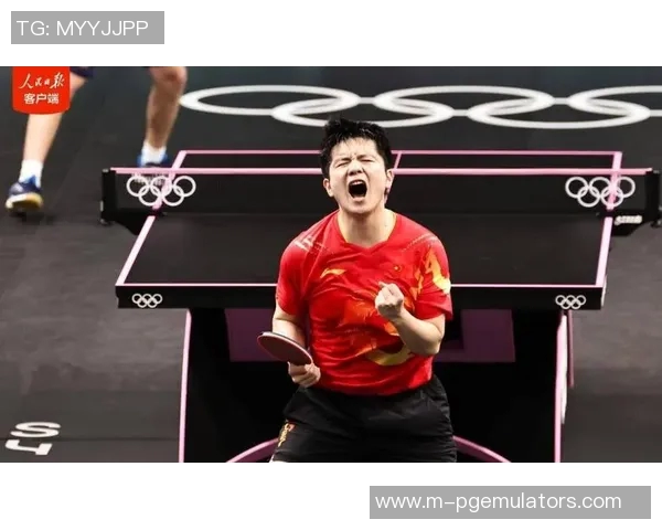 樊振东加盟德甲震惊台北球员引发热议与关注